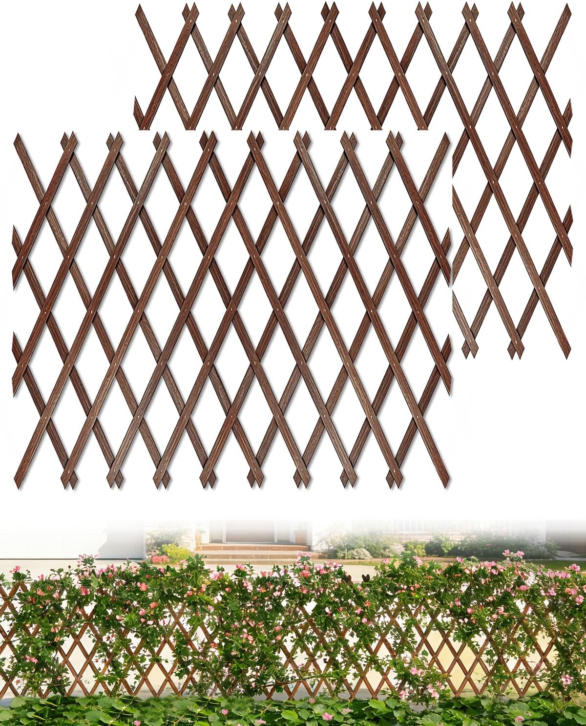 Extensible Natural Garden Wooden Fence Lattice Frame Plant