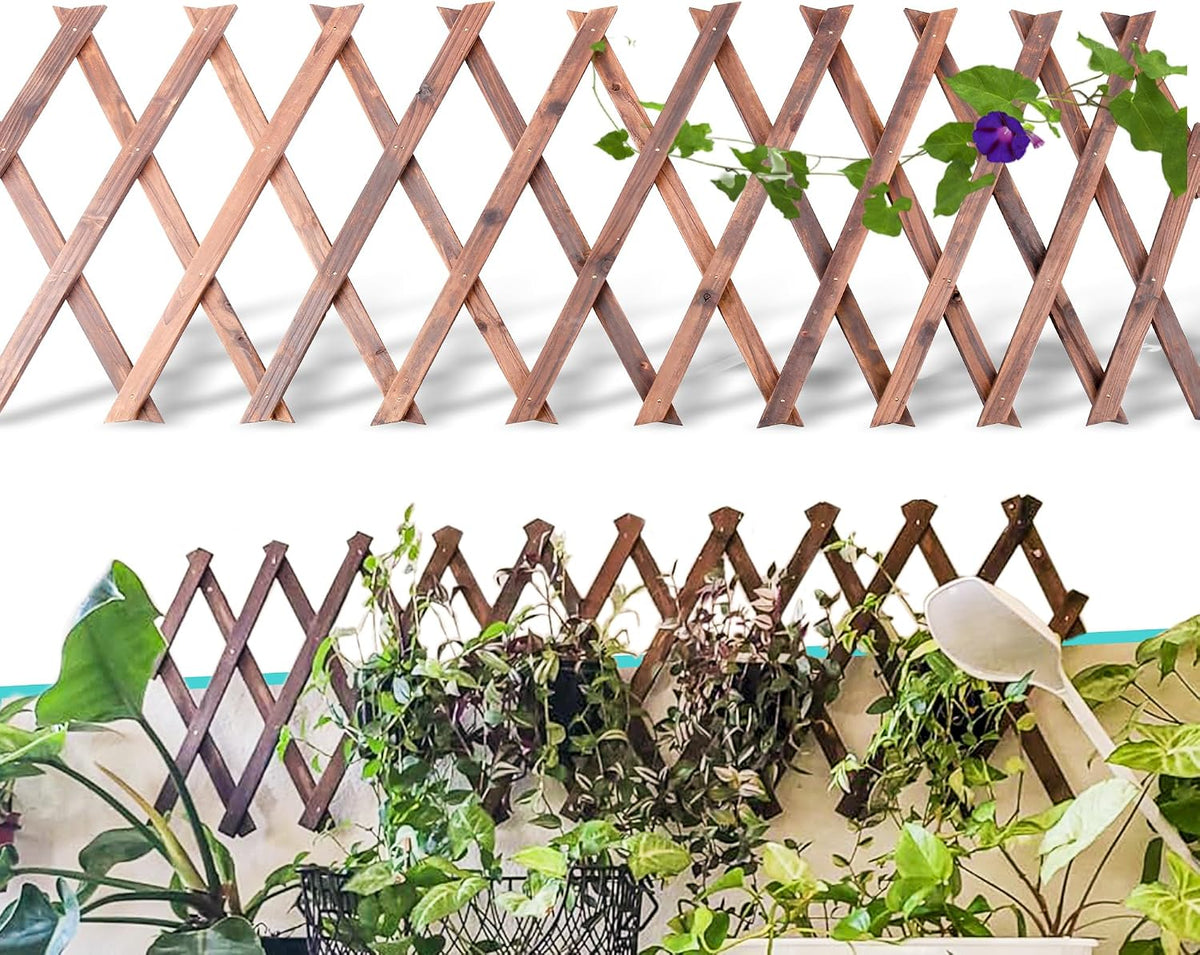 Extensible Natural Garden Wooden Fence Lattice Frame Plant