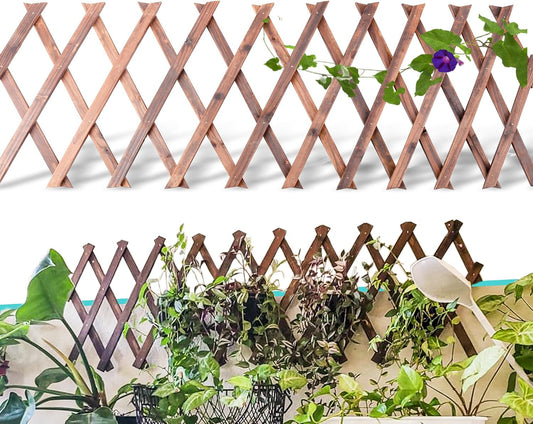 Extensible Natural Garden Wooden Fence Lattice Frame Plant