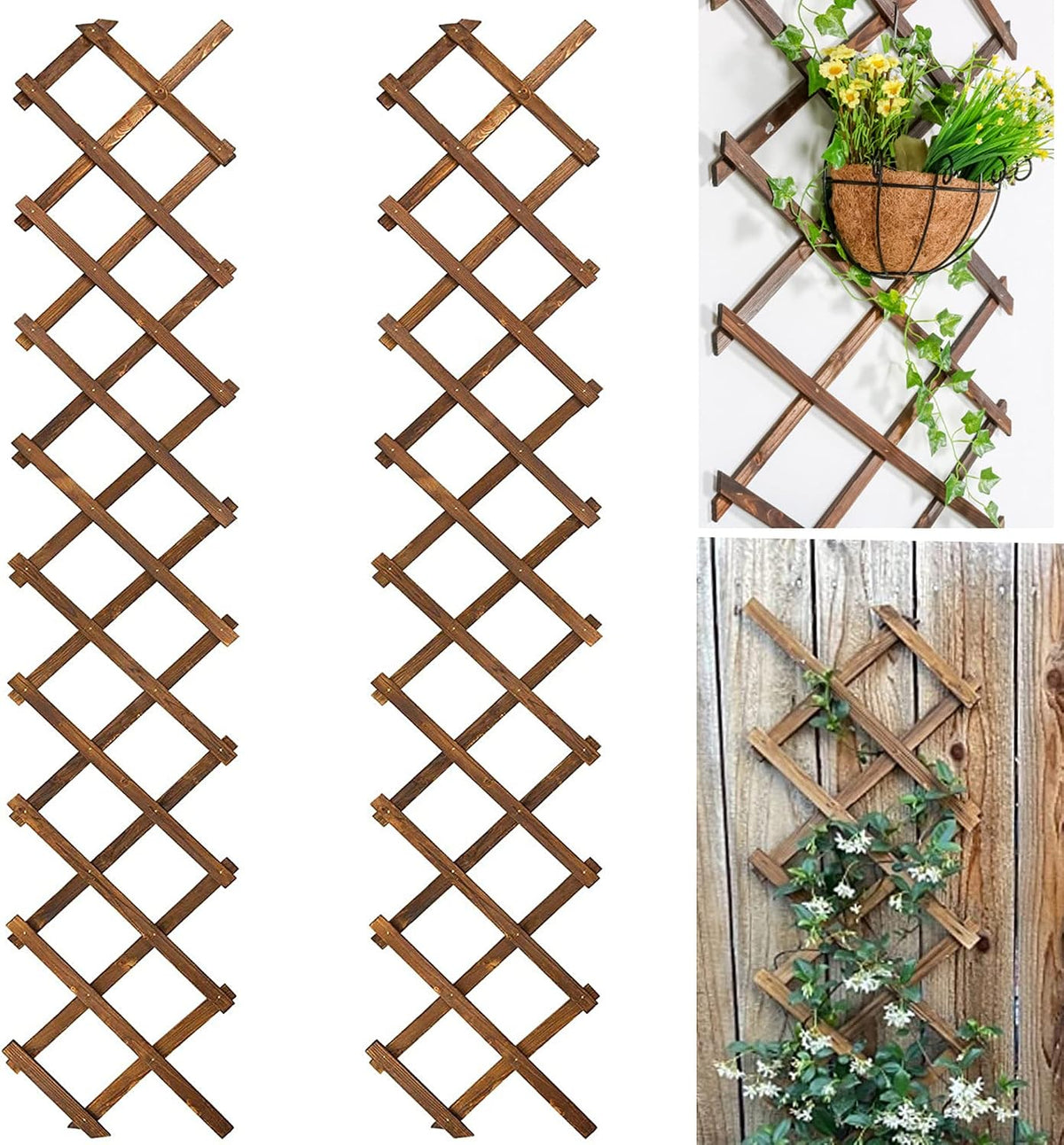 Extensible Natural Garden Wooden Fence Lattice Frame Plant