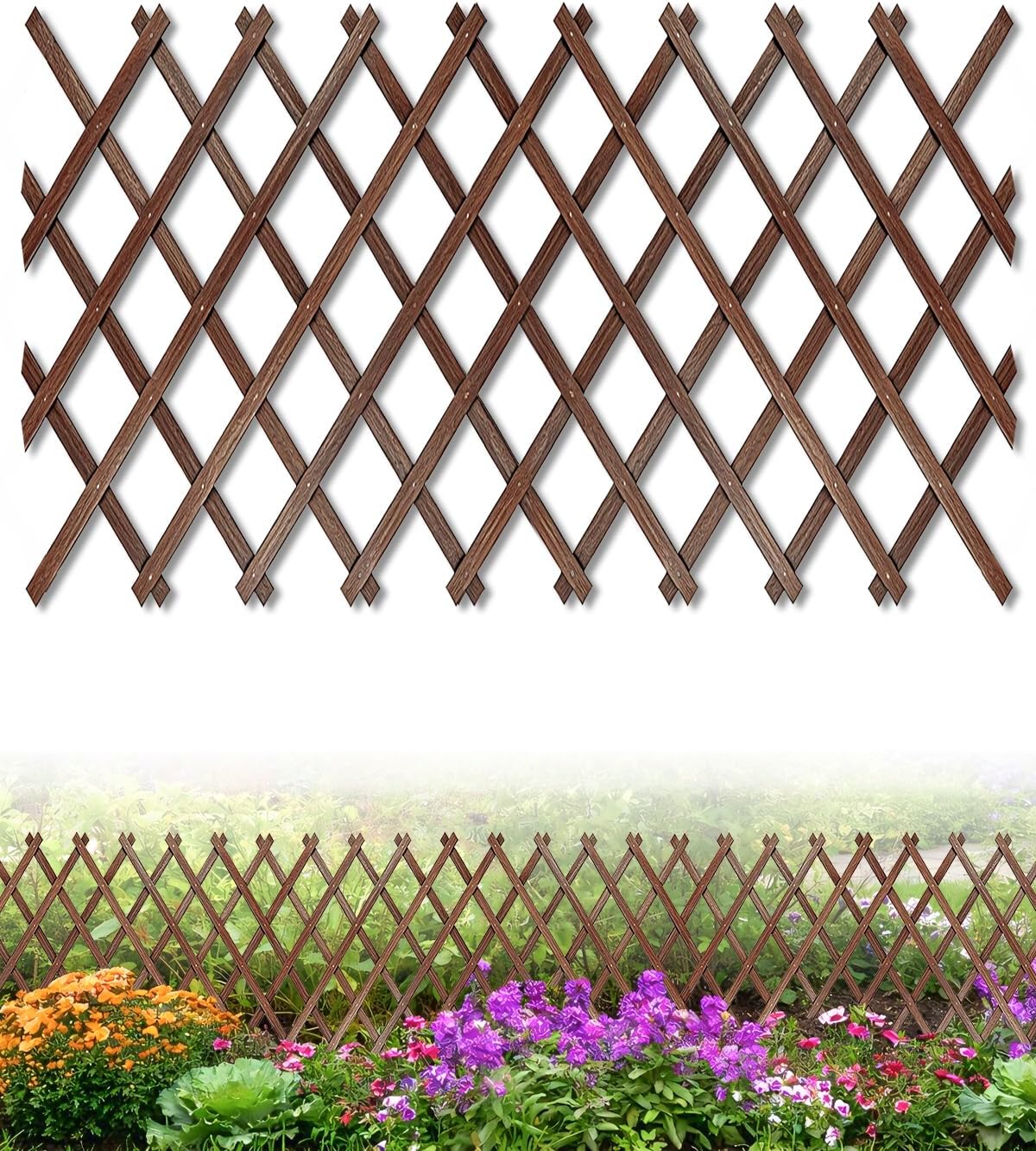 Extensible Natural Garden Wooden Fence Lattice Frame Plant